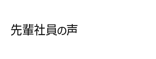 先輩社員の声